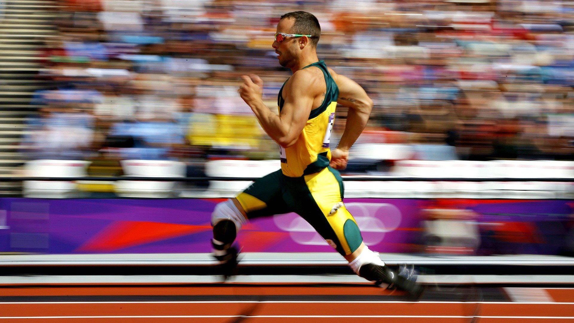 “荣耀瞬间：冠军的感人时刻”，荣耀历史冠军